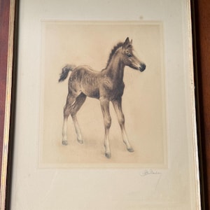 May include: A framed charcoal drawing of a young foal standing in profile, rendered in shades of brown and cream. The artwork is enclosed in a thin, weathered gold-toned frame and features a signature in the bottom right corner of the paper.