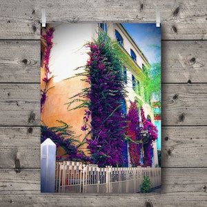The Bougainvillea / Monterosso, Cinque Terre, Liguria, Italy / Mediterranean Italian Riviera Travel Photography Print / Colorful Wall Decor image 1