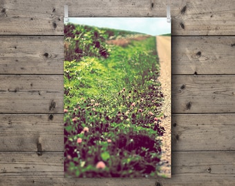 Country Road / Rural Illinois Landscape / Nature and Travel Photography Print / Agriculture Farm Wall Art / Late Summer / Rustic Home Decor