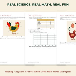 May include: Three educational worksheets titled Real Science, Real Math, Real Fun. The pages feature a chicken anatomy diagram, an egg collection data table with a blank bar graph, and a chicken life cycle diagram with illustrations of a hen.