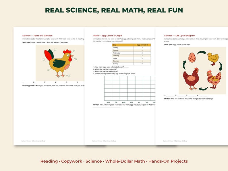May include: Three educational worksheets titled Real Science, Real Math, Real Fun. The pages feature a chicken anatomy diagram, an egg collection data table with a blank bar graph, and a chicken life cycle diagram with illustrations of a hen.