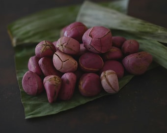Può includere: Un mucchio di noci di cola grezze con una distinta tonalità viola rosato e crepe superficiali visibili, appoggiate su una grande foglia verde piatta. Le noci hanno una forma arrotondata e irregolare e una consistenza soda e naturale.