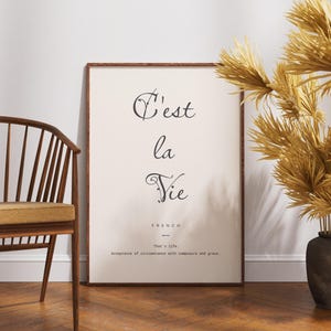 May include: A rectangular framed wall art print featuring the black text C'est la Vie in a decorative script font, followed by the word FRENCH, the translation That's life, and the definition Acceptance of circumstance with composure and grace.