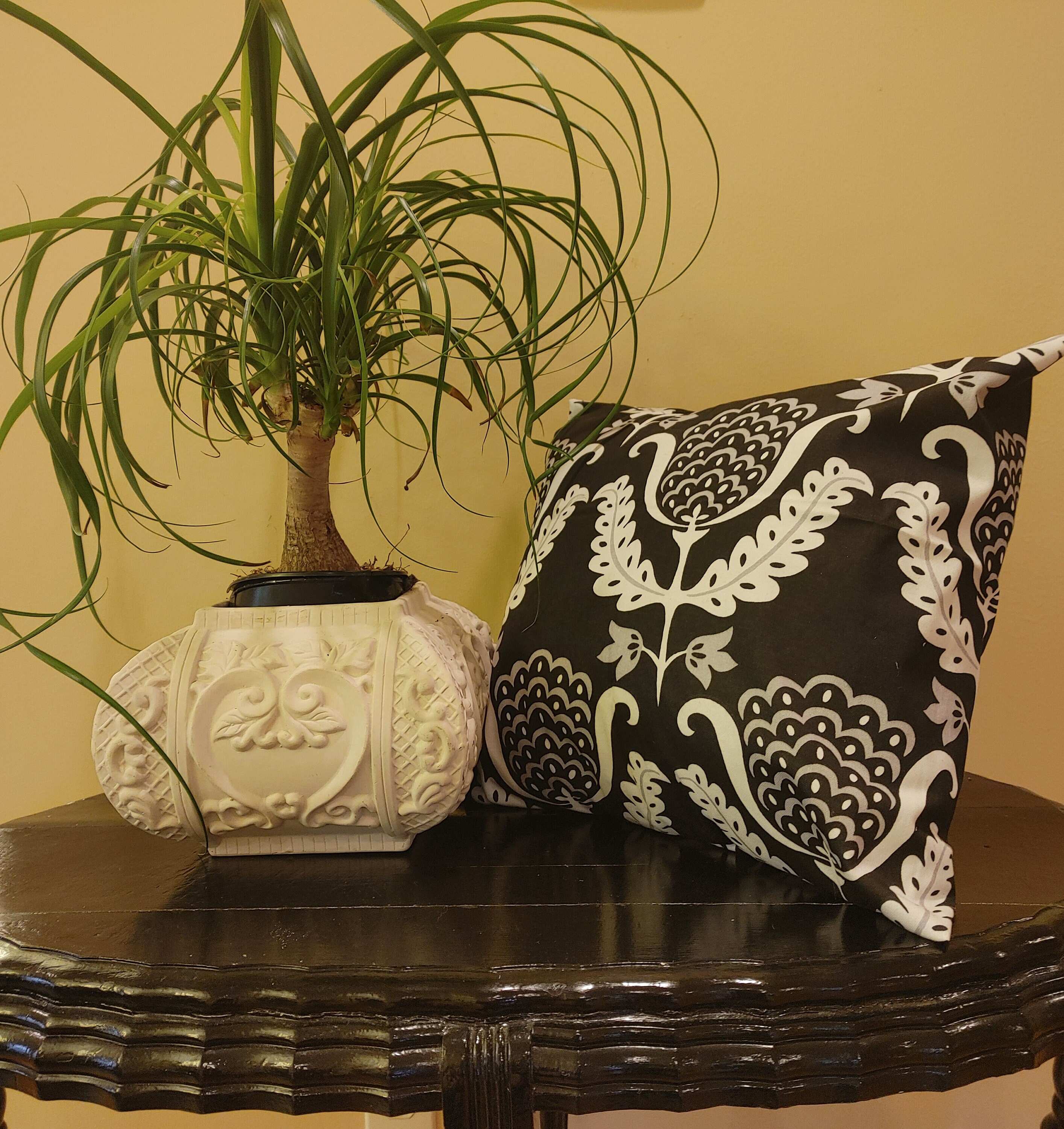Modern Black and White With Gray Decorative Throw Pillow Cover With