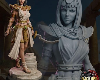 Wadjara Female Assasin Miniature | 28mm 32mm 75mm | DnD Tabletop | Black Bird Miniatures