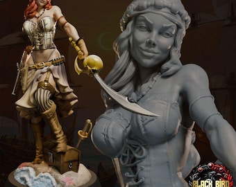 May include: A miniature figurine of a pirate character with red hair, wearing a white corset, striped stockings, and boots, standing on a treasure chest. The figure holds a curved sword with a skull hilt. A logo reads Black Bird Miniatures.