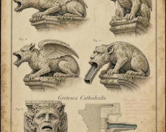 Gargoyle Art Print | Cathedral Grotesques Architectural Survey | Vintage Gothic Wall Art | Dark Academia Decor