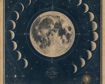 Vintage Moon Phases Art Print | Celestial Astronomy Illustration, Dark Academia Wall Art