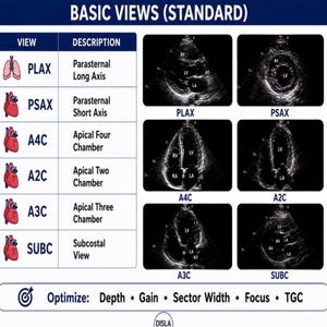 Echo Sonography Pocket Buddy
