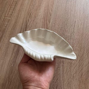 Könnte beinhalten: Eine cremefarbene Keramikschale in Form einer Muschel mit glänzender Oberfläche und gewelltem Rand. Die Schale hat eine geschwungene, organische Form mit feinen Rillen, die von der Mitte zum äußeren Rand verlaufen und eine Textur bilden.