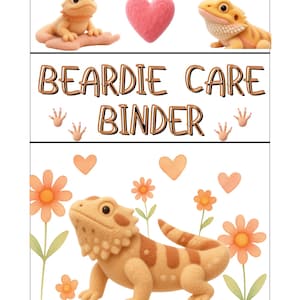 Op de afbeelding: Een rechthoekige ordnerkaft met illustraties van baardagamen, een roze hart, oranje bloemen en kleine hagedisvoetstapjes. De tekst luidt BEARDIE CARE BINDER in een bruin lettertype. Kleine sprinkhaan-iconen staan in de vier hoeken.