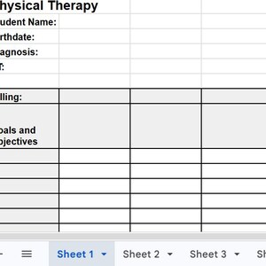 May include: A digital spreadsheet template for Physical Therapy with fields for Student Name, Birthdate, Diagnosis, PT, School, Teacher, Provisions, PTA, Rx, Billing, and Goals and Objectives. The interface includes tabs for Sheet 1, Sheet 2, Sheet 3, and Sheet 4.