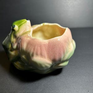 May include: A ceramic planter shaped like a frog resting on a leaf. The frog is green with dark eyes, while the leaf base features a gradient of soft pink and pale green tones. The interior of the planter is a smooth, cream-colored glazed finish.
