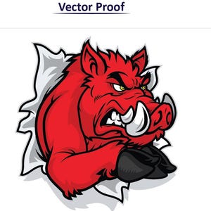 Custom Vector Conversion Service | Logo Redraw, SVG, AI, EPS (Digital Download)