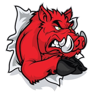 May include: A vibrant red wild boar mascot graphic with a fierce expression, sharp tusks, and black hooves, depicted as if bursting through a white paper-like surface with jagged edges and dark grey shading for depth and contrast.