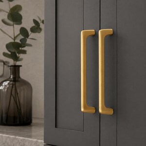 May include: Two vertical, brushed gold-toned metal cabinet pulls with a rectangular profile and rounded edges, mounted onto a dark charcoal gray cabinet door with a recessed panel design, positioned next to a dark glass vase with green foliage.