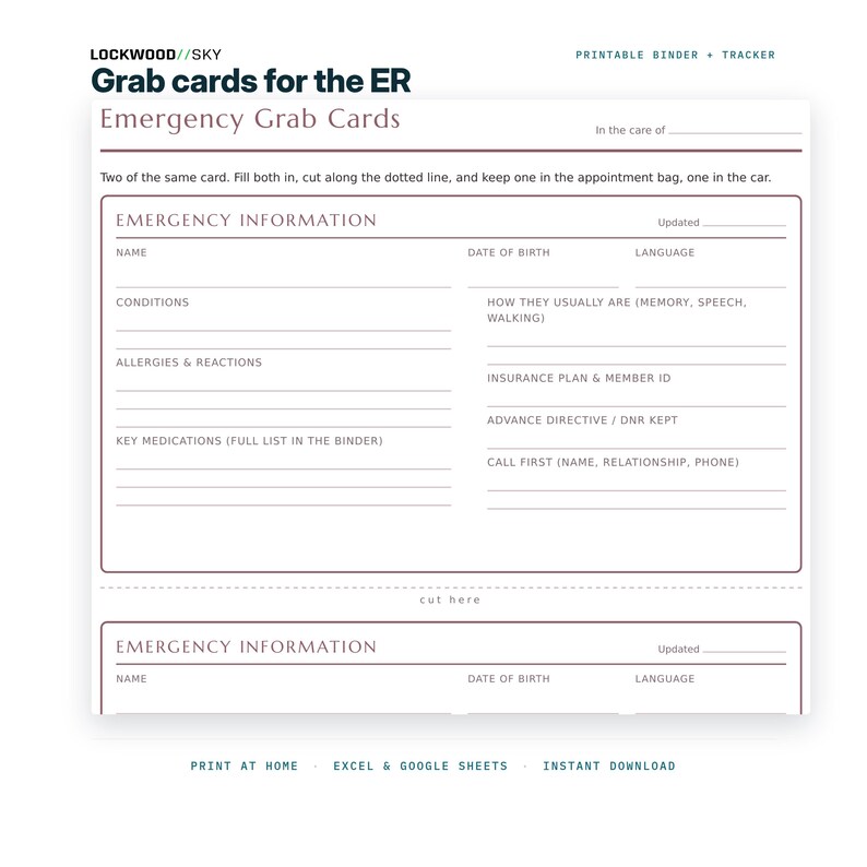 Caregiver Binder + Care Expense Tracker Spreadsheet | Medication Log Emergency Info Elderly Parent Organizer Family Cost Split Excel image 5