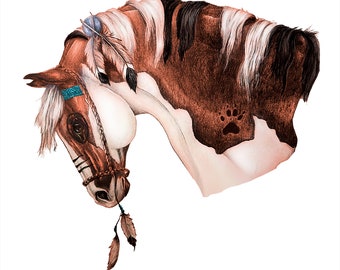 native american war paint horse