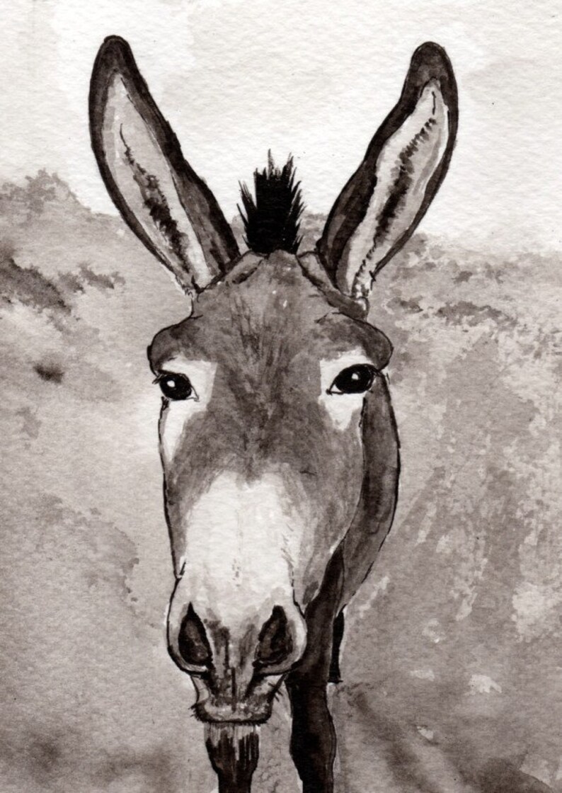 Esel Esel Geburtstagskarte Guernsey Esel Karte für jeden - Etsy.de