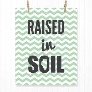 Raised in Southern Illinois State Print