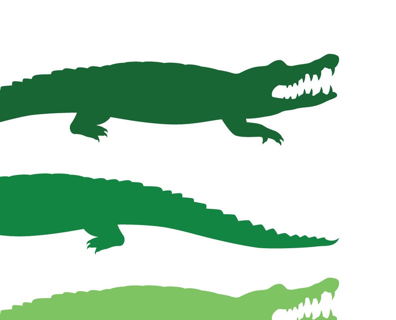 Green Alligator, Nursery Print, Alligator Print, Alligator Poster, Mid Century Art, Kids Wall Art, Retro, Children's Room image 2