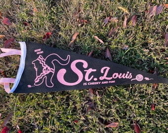 St Louis is Cheeky and Fun Pennant