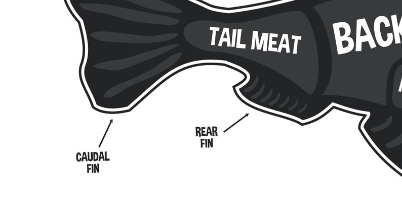 Fish Butcher Diagram, Butcher Chart, Fish, Fish Diagram, Home Decor ...