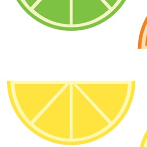 Orange, Lime, Lemon, Citrus Print, Citrus Poster, Orange Print, Lime ...