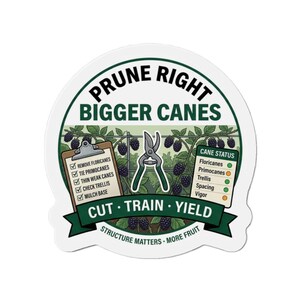 Puede incluir: Una pegatina circular con el texto PRUNE RIGHT BIGGER CANES, CUT, TRAIN, YIELD y STRUCTURE MATTERS, MORE FRUIT. Muestra un portapapeles con una lista de verificación, tijeras de podar y una tabla de estado sobre un fondo de zarzas de moras.