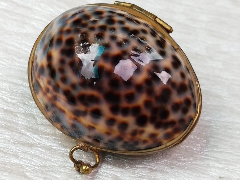 Small Cowries Vintage Shell Trinket Jewelry Box Hinged Lid 2 1/4