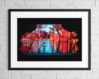 San Francisco Wall Art, Golden Gate Park Stow Lake Print, Red Infrared Photography, Funky Psychedelic Art, Float Framed or Unframed