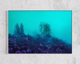 Foggy Oregon Forest Print, Teal Infrared Photography, Pacific Northwest Art, Moody Wall Art, Float Framed or Unframed