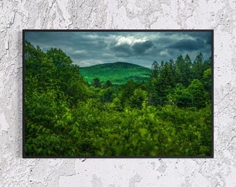 Vermont Mountain Forest Print, Moody Green Landscape Photography, Cabin Wall Art, Float Framed or Unframed