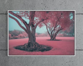 Pink Tree Print, Dreamy Infrared Landscape Photography, Whimsical Pastel Wall Art, Float Framed or Unframed