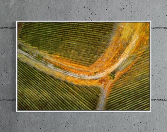 Paso Robles Aerial Vineyard Print, California Wine Country Drone Photography, Wine Wall Art, Float Framed or Unframed