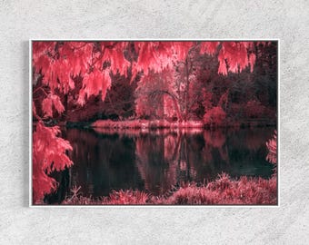 San Francisco Wall Art, Golden Gate Park Pink Infrared Lake Print, Dreamy Reflection Photography, Moody Lake House Decor, Float Framed
