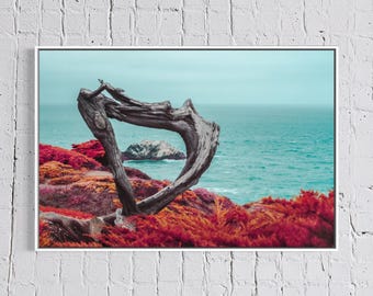 San Francisco Wall Art, Lands End Cypress and Ocean Print, Moody Infrared Coastal Photography, Float Framed or Unframed