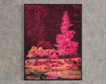 Japanese Garden Print, Pink Infrared Photography, Pacific Northwest Art, Seattle Zen Wall Art, Float Framed or Unframed