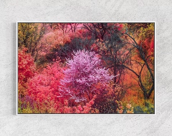 Delphi Greece Blossom Tree Print, Pink Botanical Infrared Nature Photography, Maximalist Colorful Wall Art, Float Framed or Unframed