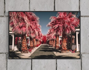 Death Valley Palm Tree Print, Pink Infrared Desert Photography, National Park Wall Art, Float Framed or Unframed
