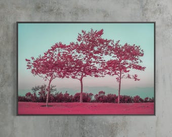 Crystal Cove Three Pink Trees Print, Pastel Infrared Landscape Photography, Whimsical Minimalist Wall Art, Float Framed or Unframed