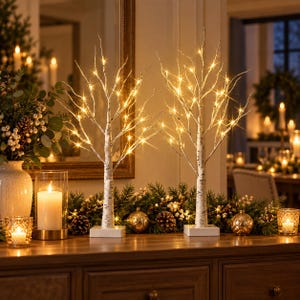 2FT Lighted Birch Tree Set of 2, Warm White LED Christmas Tabletop Decor, Battery Operated Tree Lights with Timer
