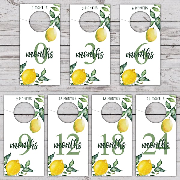 Nursery Closet Dividers PRINTABLE, Lemons no gender Baby Closet Organized, PDF Instant Download, Bright Rustic Decor