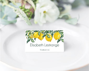 Lemons Wedding Place Cards template, Sorrento Wedding Escort Card printable, Table Decor editable text folded or flat, digital PDF #LMM