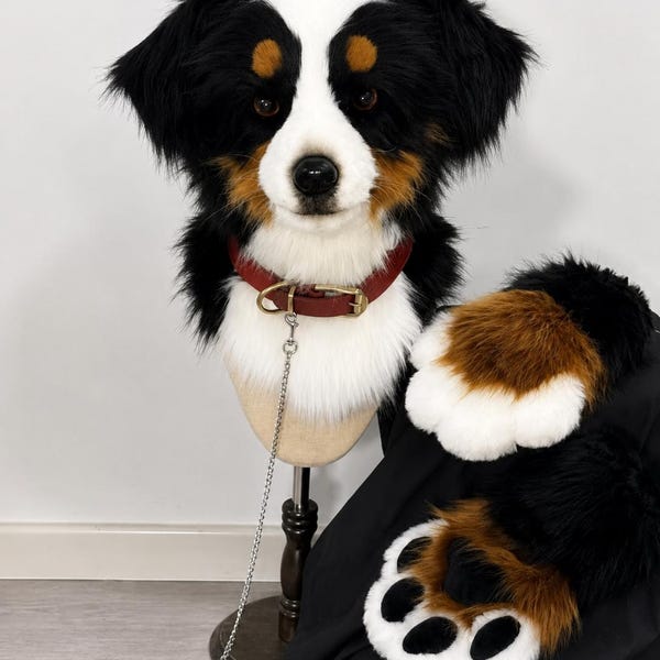 Australian Shepherd Fursuit Head, Custom Dog Furry Mask, Realistic Canine Costume Head, Furry Cosplay Suit, Animal Mascot Head