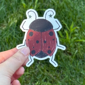 May include: A die-cut sticker featuring a stylized ladybug illustration with a dark brown head and a red wing casing marked with black spots. The insect design includes thin white antennae topped with small star shapes and simple line-drawn legs.
