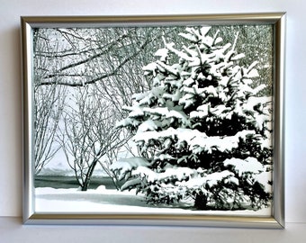 Winter Snow Scene-Pine Tree-Framed 8 x 10 Photo-Black and White Photograph-Silver Frame-Hudson Valley NY-New Paltz