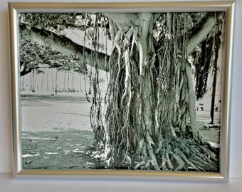 Hawaii-Banyan Trees-Framed Black and White Photo-8 X 10 Framed Photo-Silver Frame-Waikiki Beach-Art-Framed Art