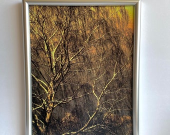 Weeping Willow in the Wind-Framed 8 x 10-Trees-Color-Ready to Hang-Yellow-Hudson Valley NY-Silver Frame