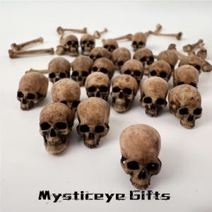 May include: A collection of small, beige, realistic human skull replicas and scattered bone fragments. Each skull features detailed eye sockets, nasal cavities, and teeth. The text "Mysticeye Gifts" is printed in black at the bottom of the image.